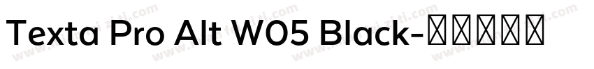 Texta Pro Alt W05 Black字体转换